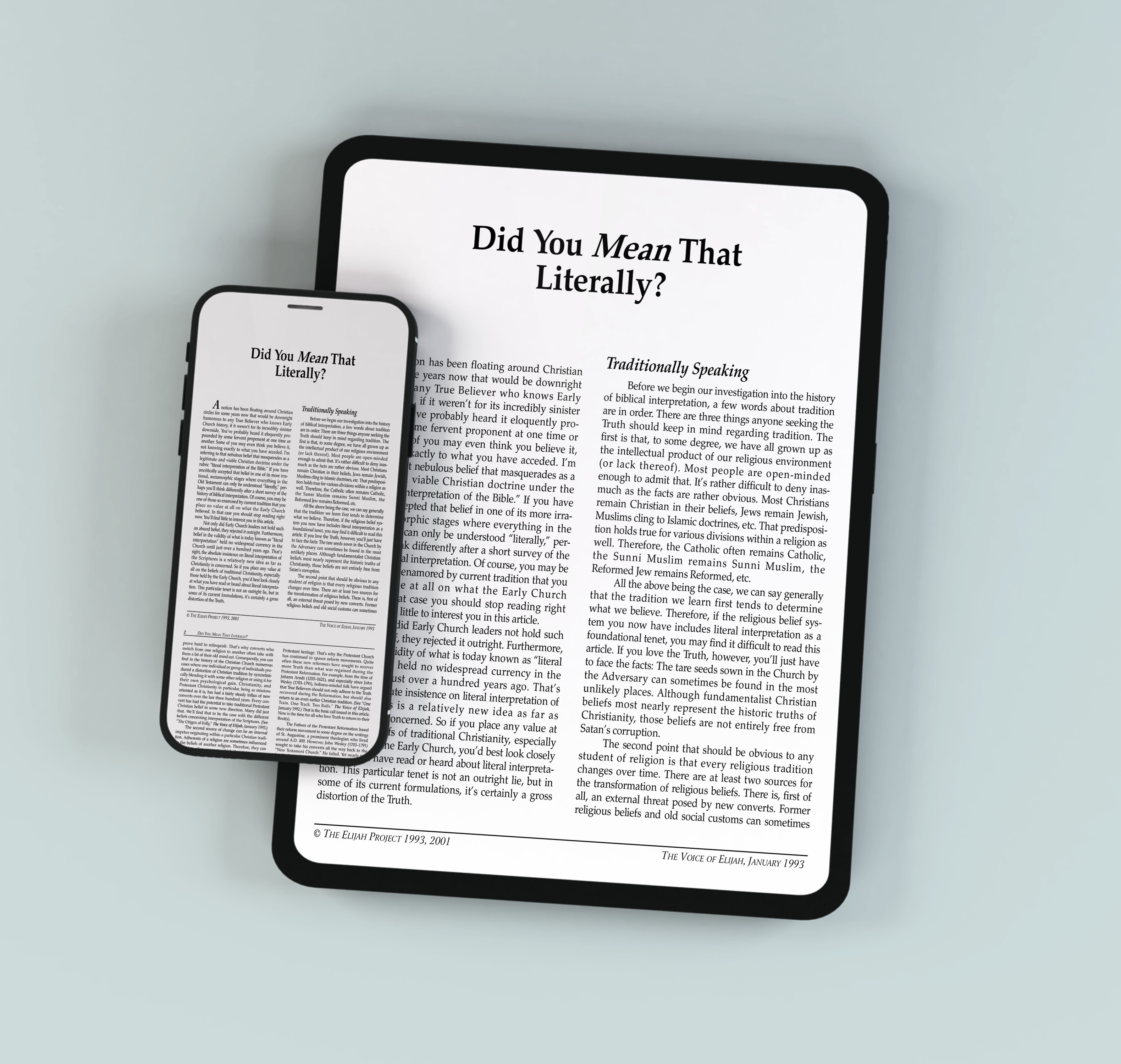 A smartphone and tablet side by side, both displaying an article titled ‘Did You Mean That Literally? on white screens.