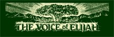 VOE Logo